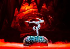 Cirque du Soleil OVO: V Ljubljano prihaja barviti svet cirkuških žuželk