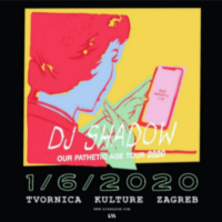 DJ Shadow