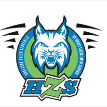 HZS - Hokejska zveza slovenije