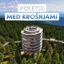 Pot med kro&scaron;njami Pohorje