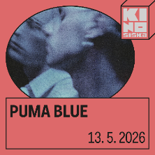Puma Blue