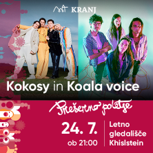 Kokosy in Koala voice