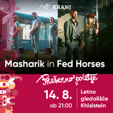 Masharik in Fed Horses