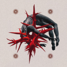 The Amity Affliction