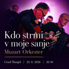 Koncert MuzArt Orchestra