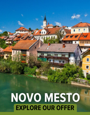 Novo mesto